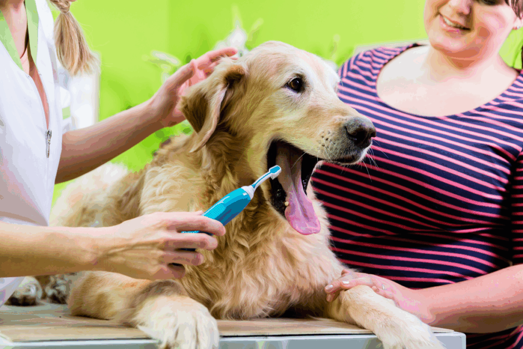 Pet Dental Care Matters